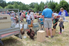 Hühnermarkt im schwedischen Domaryd.