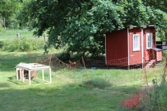 Hühnermarkt im schwedischen Domaryd.