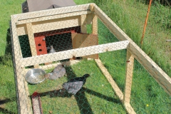 Hühnermarkt im schwedischen Domaryd.