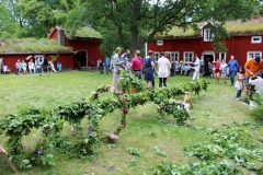 Midsommarfest in Schweden (Sommer 2017)
