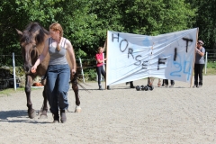 SvenskaNyheter_2017-07-09_Schweden_Ranchfest_07