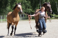 SvenskaNyheter_2017-07-09_Schweden_Ranchfest_08