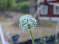 Spätsommer 2018 in Südschweden