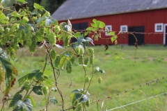 Spätsommer 2018 in Südschweden