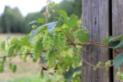 Spätsommer 2018 in Südschweden