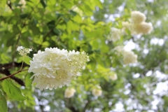 Spätsommer 2018 in Südschweden