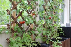 Spätsommer 2018 in Südschweden