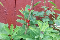 Spätsommer 2018 in Südschweden Spätsommer 2018 in Südschweden