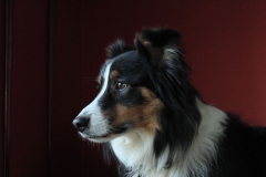 SvenskaNyheter_2018-12-31_Schweden_Impressionen_00