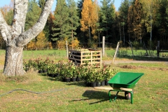 SvenskaNyheter_2018-12-31_Schweden_Impressionen_01