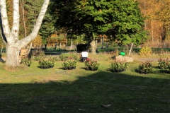 SvenskaNyheter_2018-12-31_Schweden_Impressionen_02