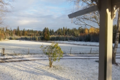 SvenskaNyheter_2018-12-31_Schweden_Impressionen_03 SvenskaNyheter_2018-12-31_Schweden_Impressionen_03