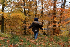 SvenskaNyheter_2018-12-31_Schweden_Impressionen_05