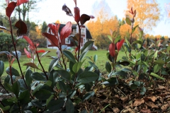 SvenskaNyheter_2018-12-31_Schweden_Impressionen_07