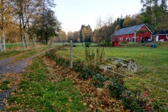 SvenskaNyheter_2018-12-31_Schweden_Impressionen_13 SvenskaNyheter_2018-12-31_Schweden_Impressionen_13